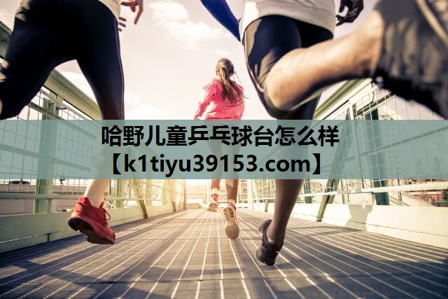 哈野儿童乒乓球台怎么样