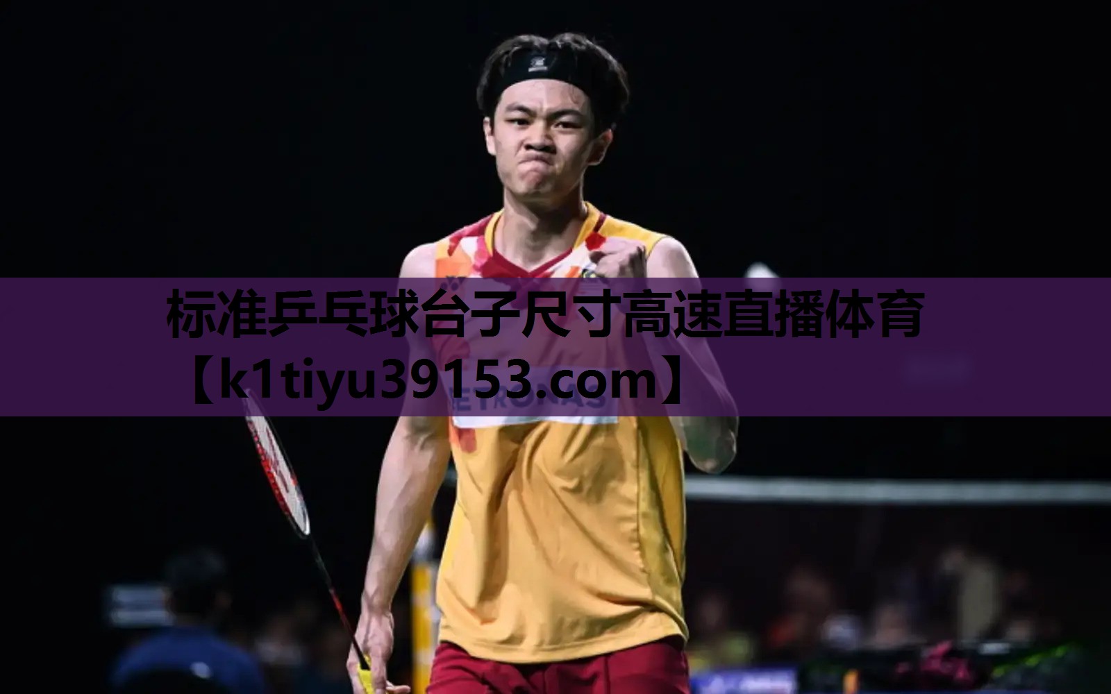 标准乒乓球台子尺寸高速直播体育