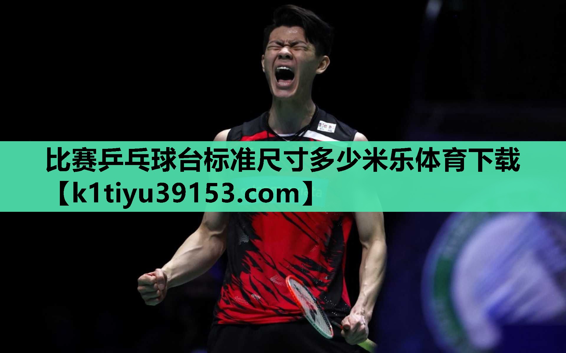比赛乒乓球台标准尺寸多少米乐体育下载