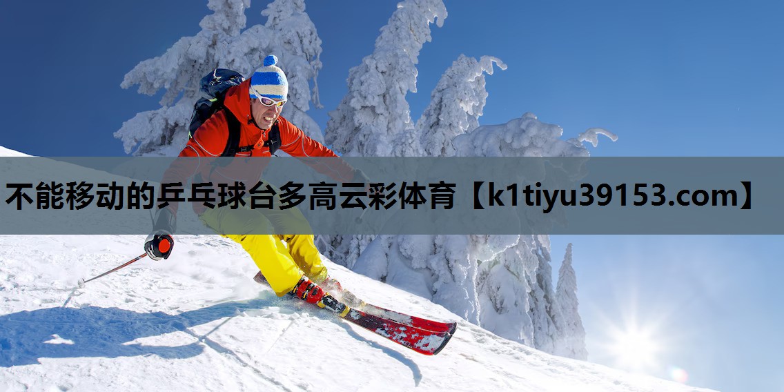 不能移动的乒乓球台多高云彩体育